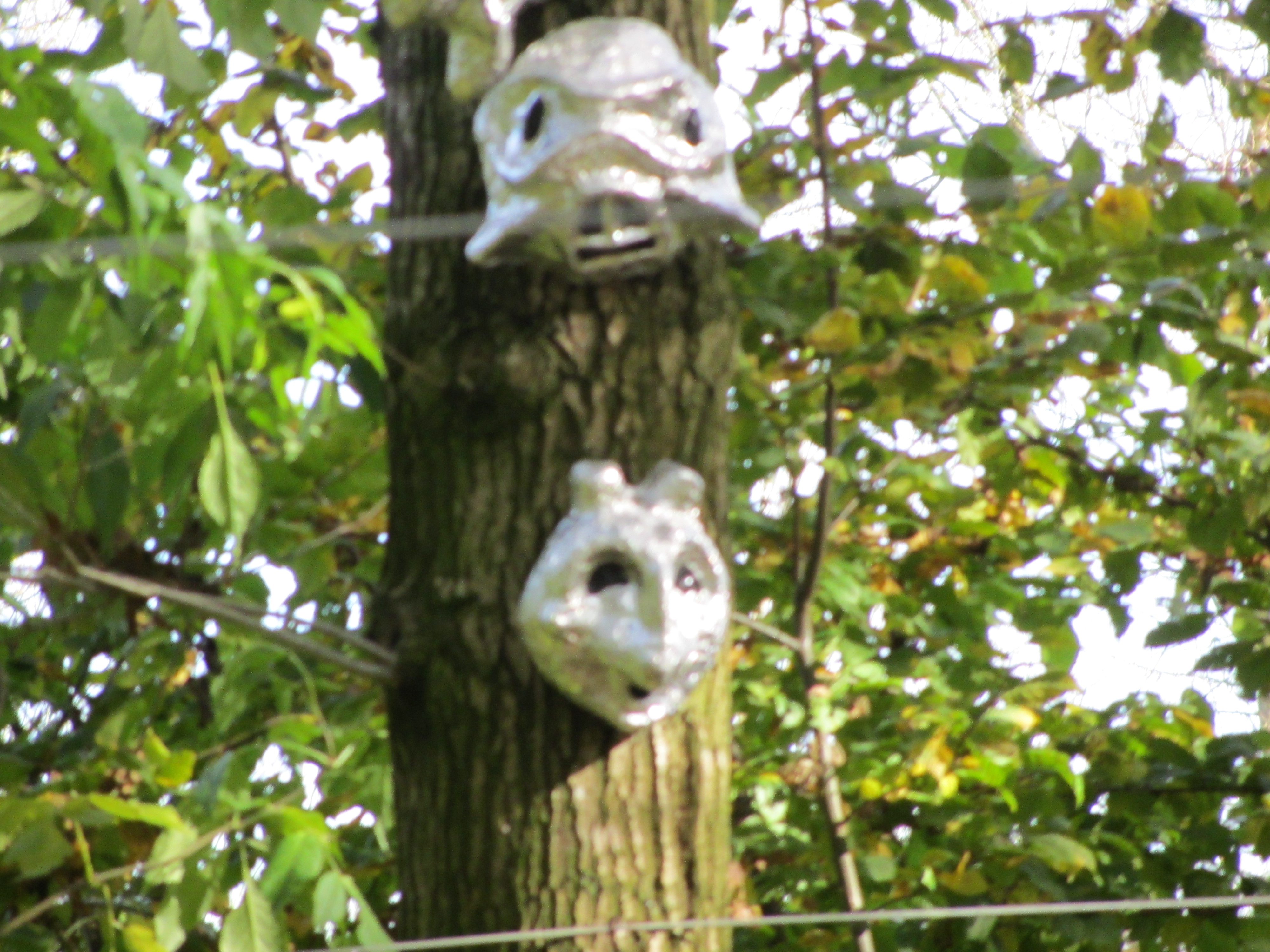 Ipad Marianne 088.JPG